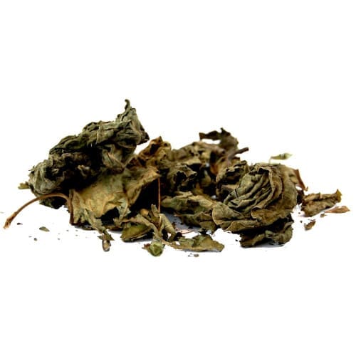 Hoja Santa (Mexican Pepperleaf) - Maustemesta