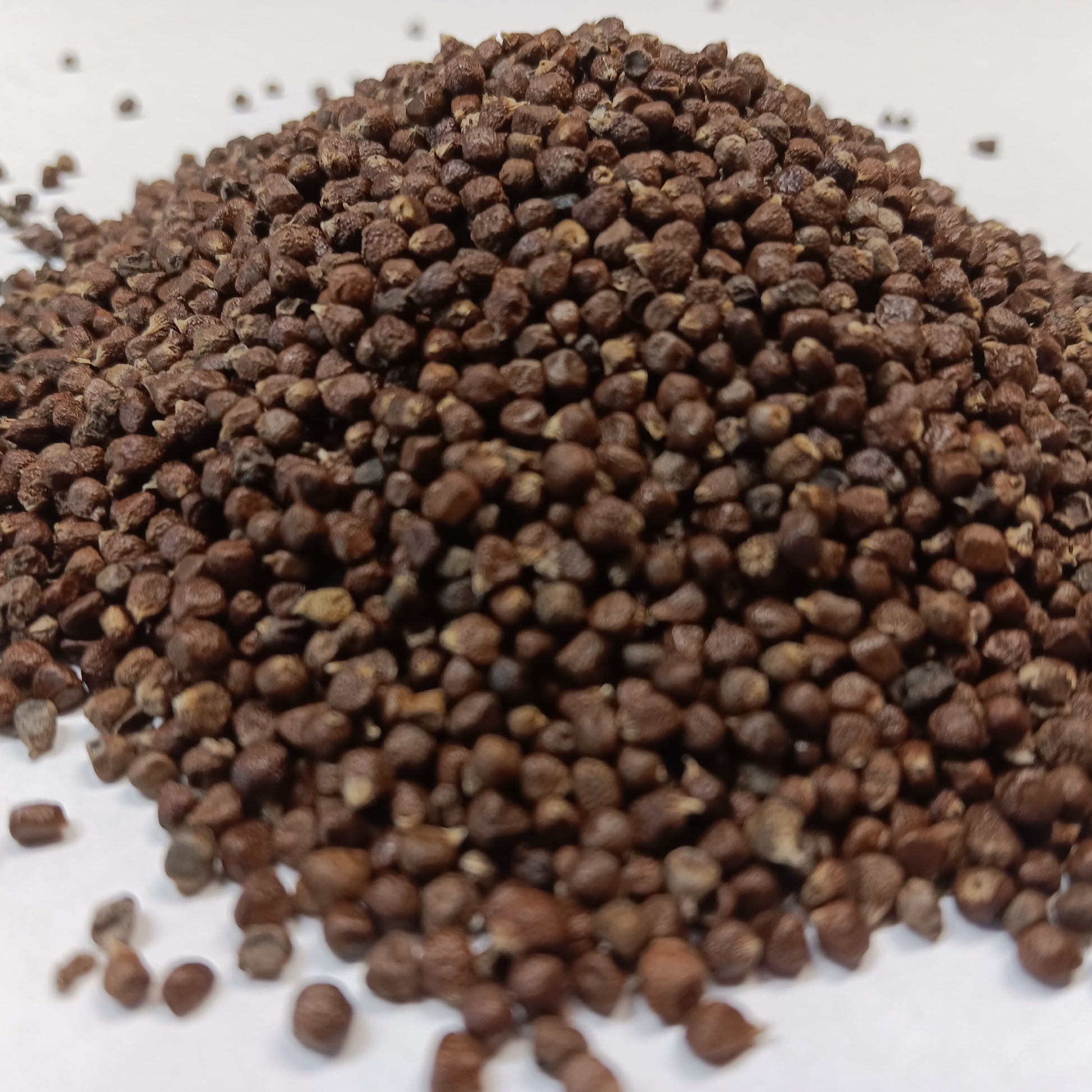 Meleguetapippuri (Grains of Paradise) - Maustemesta