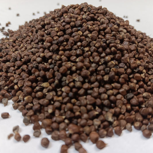 Meleguetapippuri (Grains of Paradise) - Maustemesta