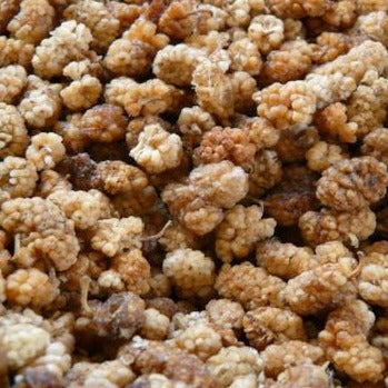Mulperi (Mulberry) 100g
